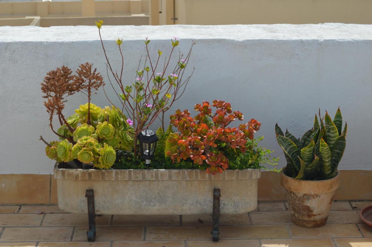 Apartamento El Mirador De קדיז מראה חיצוני תמונה