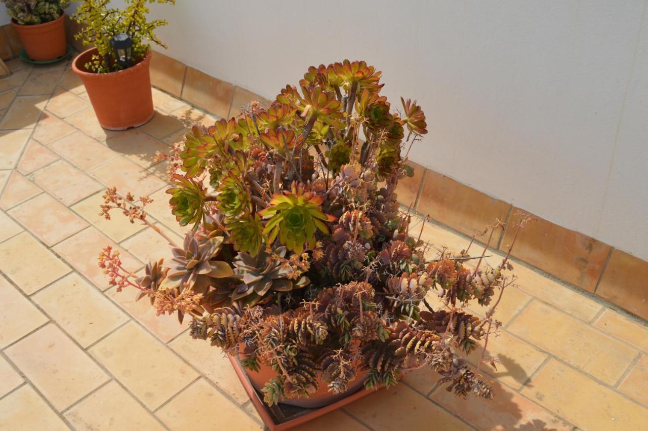 Apartamento El Mirador De קדיז מראה חיצוני תמונה